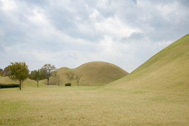 Gyeongju, Kore - 20 Ekim 2014: Daereungwon antik mezarlar