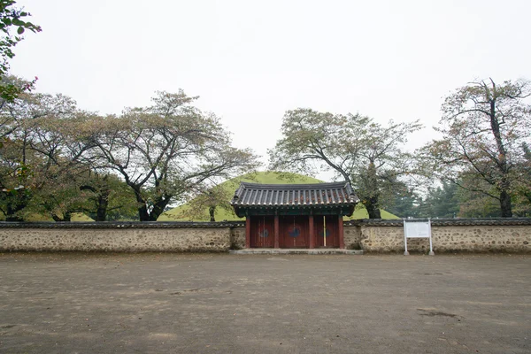 GYEONGJU, KOREA - OUTUBRO 20, 2014: túmulo do rei michu — Fotografia de Stock