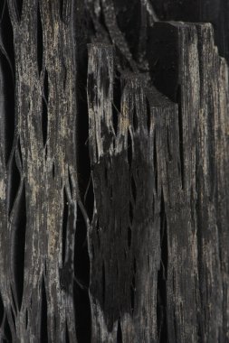 Makro kömür yüzey