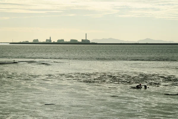 Mud flat and people with factory silhouette — Stock Photo, Image