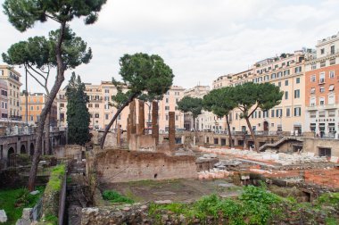 Rome, İtalya - 24 Ocak 2010: Largo di Torre Argentina