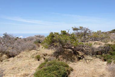 Witse-Oreum Yeongsil içinde görünümünden Yaylası