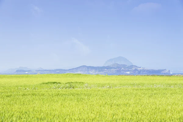 Landscape of Sanbangsan and Songaksa — Stock Photo, Image