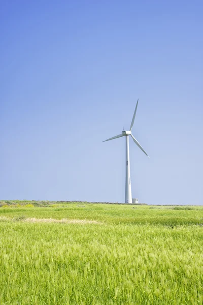 景观的绿色大麦场和风力发电机 — 图库照片