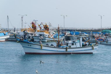 Jeju-do, Kore-10 Nisan 2015: balıkçı teknesi, Moseulpo po