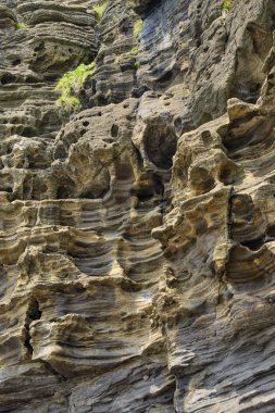Jeju adasında Yongmeori sahilinde tortul