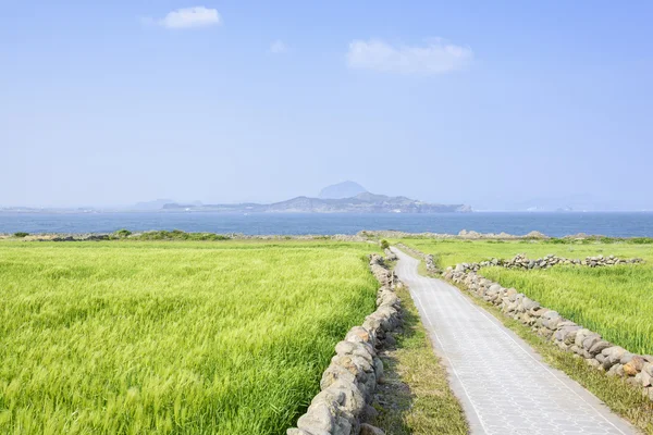 Sanbangsan ve Songaksan peyzaj — Stok fotoğraf