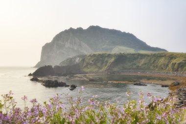 Seongsan Ilchulbong manzara bir sabah
