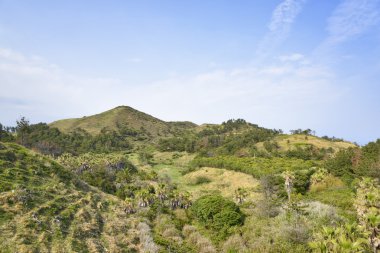 Landscape of Songaksan mountain