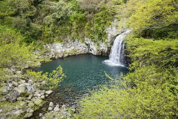 Cheonjeyeon No. 3 falls — Stok fotoğraf