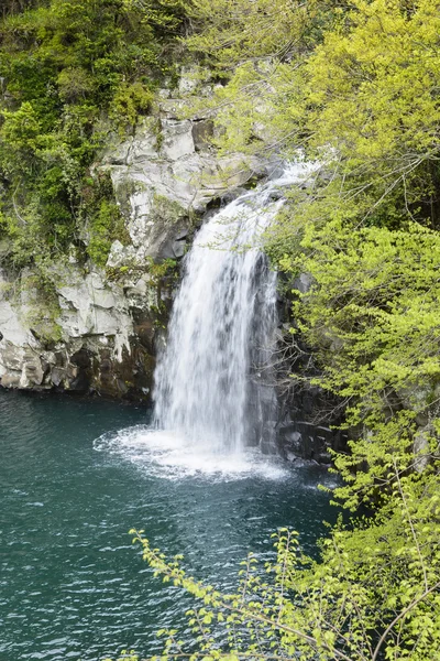 Cheonjeyeon No. 3 falls — Stock Photo, Image