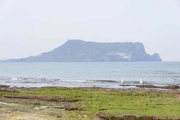 Krajobraz Gwangchigi plaży z Seongsan Ilchulbong. — Zdjęcie stockowe