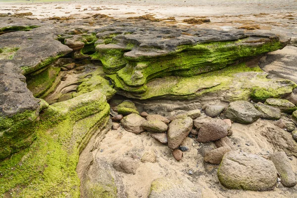 Rocks in Gwangchigi beach in Jeju — Stock Photo, Image