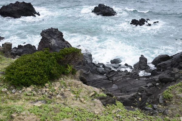 Rochas vulcânicas em uma costa da ilha de Jeju . — Fotografia de Stock