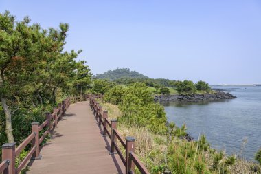 Jeju Olle cours No 2 peyzaj