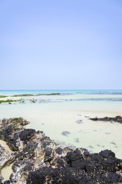 Jeju Adası Woljeongri beach