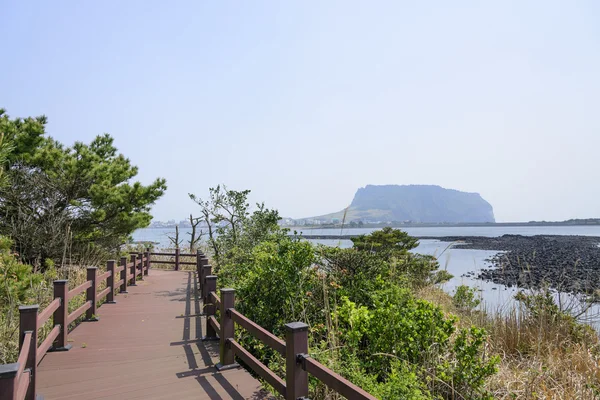 Paysage de Jeju Olle cours No. 2. — Photo