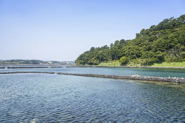 Paisagem de Jeju Olle cours No. 2 — Fotografia de Stock