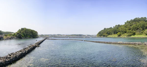 Jeju Olle cours No 2 peyzaj — Stok fotoğraf