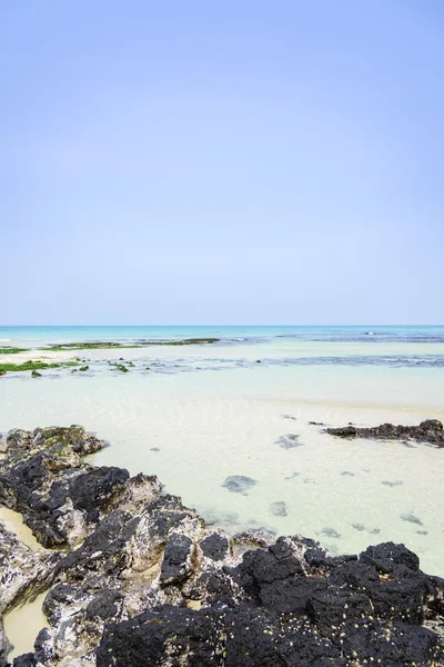 Jeju Adası Woljeongri beach