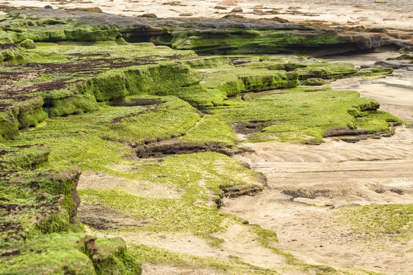Скалы на пляже Квантиги в Чеджу — стоковое фото