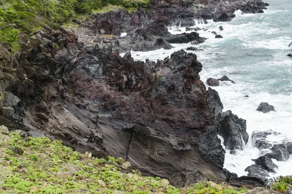 火山岩在济州岛海岸. — 图库照片