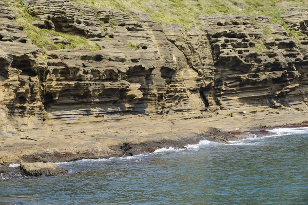 जेजू में Yoengmeri समुद्र तट पर अजीब चट्टानों — स्टॉक फ़ोटो, इमेज