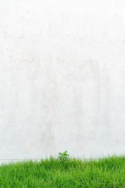 Maruz kalan beton kaplama ve yüzey dokusunu