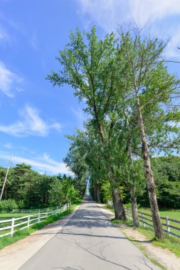 Yolda bir at çiftliği