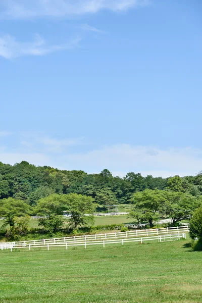 Paisaje de rancho de caballos — Foto de Stock