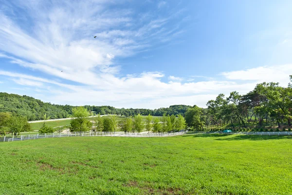 Landscape of horse ranch — Stock Photo, Image