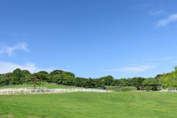 Landscape of horse ranch — Stock Photo, Image