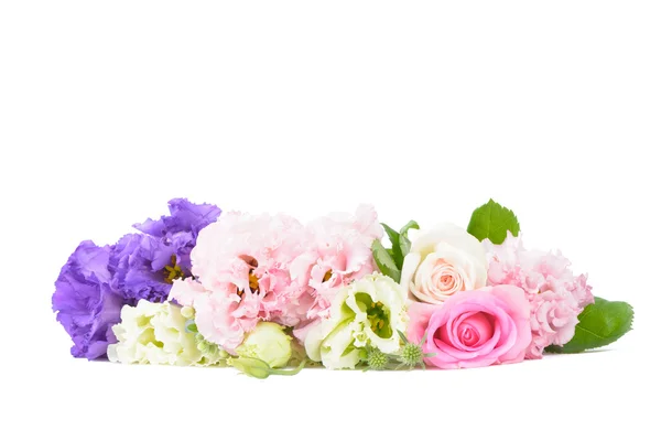 Фиолетовые и розовые гвоздики и розы — стоковое фото