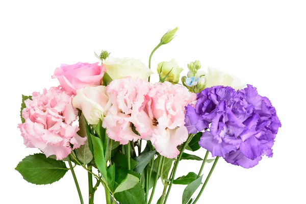 Фиолетовые и розовые гвоздики и розы — стоковое фото
