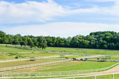 Goyang-si, Korea - July 16, 2015: Wondang horse ranch