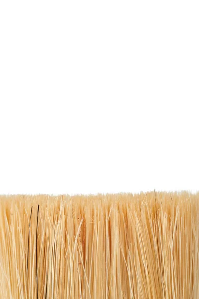 Hair type paint brush — Stock Photo, Image