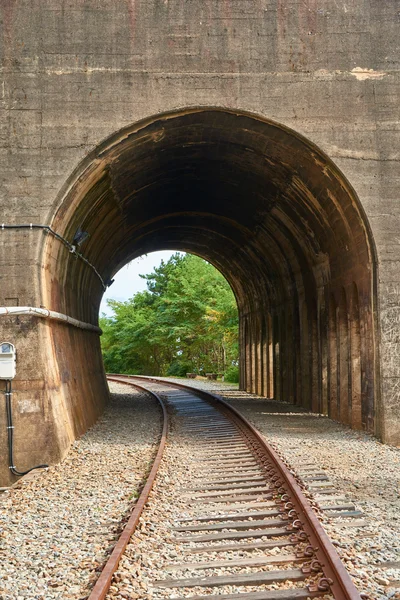 Old train tunnel — Stock Photo, Image