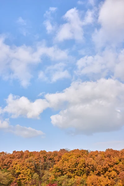 Blauer Himmel und Herbstfarben auf einem Berg — Stockfoto