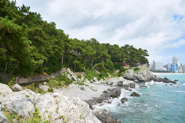yol boyunca Dongbaek sahil Adası.