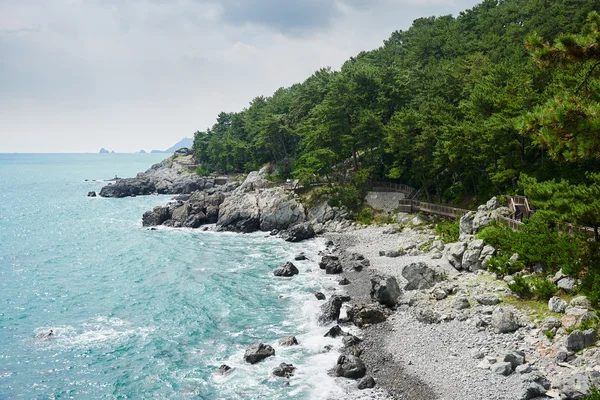 Sentiero lungo la costa dell'isola di Dongbaek . — Foto Stock