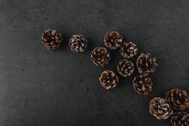 Çam kozalaklarından oluşan bir grup koyu levha dokusuna yayılmış.