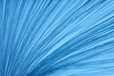 arkaplanda parlayan fiber optik dizgiler