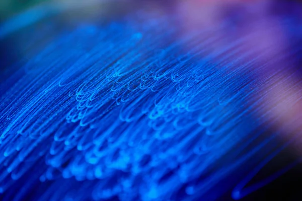 arkaplanda parlayan fiber optik dizgiler