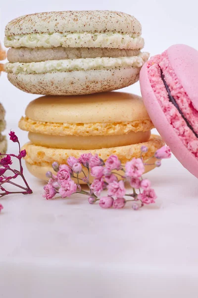 Few Colored Macarons Flowers White Background — Stock Photo, Image