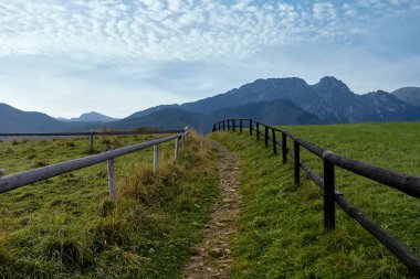 Her iki tarafında çit olan kırsal yol.
