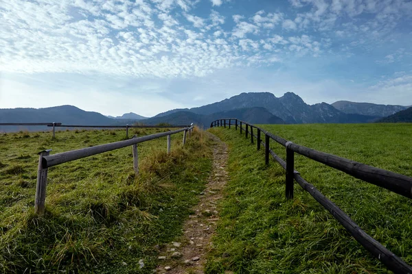 Her iki tarafında çit olan kırsal yol.