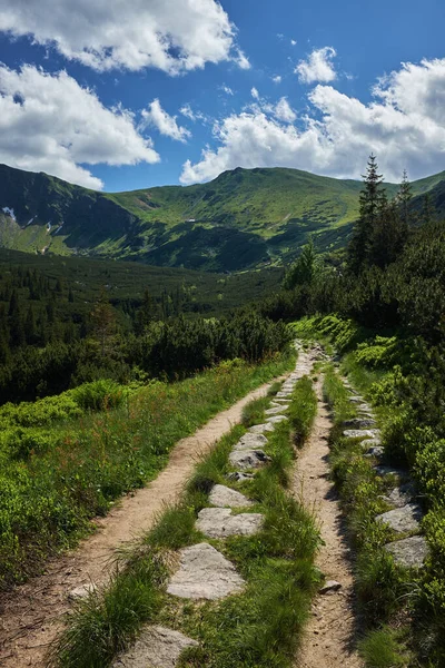 Çiçekli çayırlarla dağların manzaralı panoramik manzarası