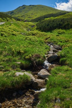 Nehirli dağların panoramik manzarası