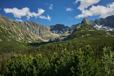Çiçekli çayırlarla dağların manzaralı panoramik manzarası
