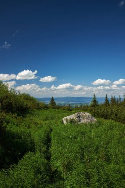 Çiçekli çayırlarla dağların manzaralı panoramik manzarası